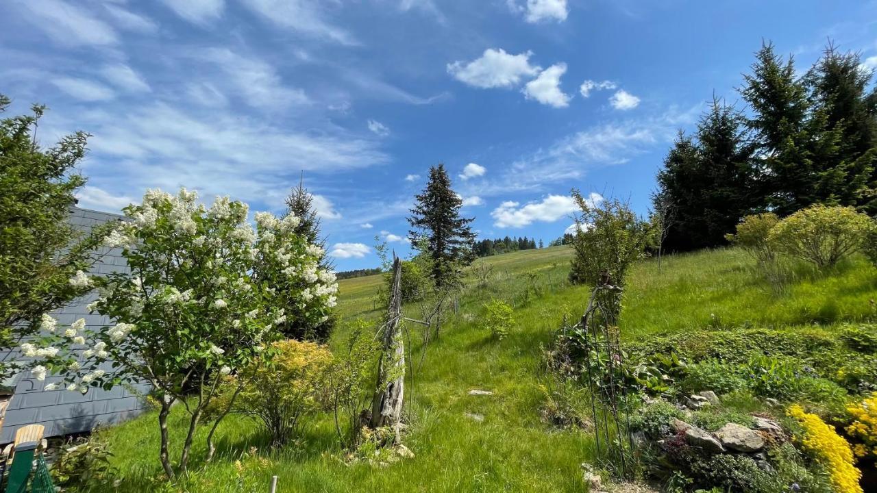 Fluegels Rebi-Baude Villa Rechenberg-Bienenmuhle ภายนอก รูปภาพ