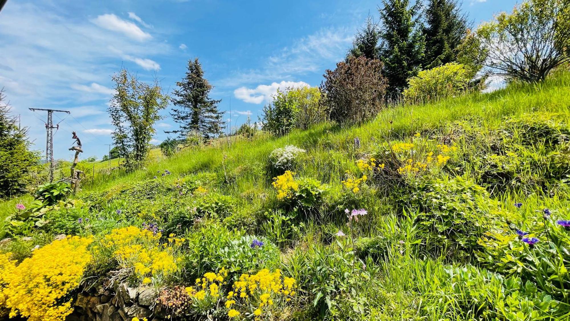 Fluegels Rebi-Baude Villa Rechenberg-Bienenmuhle ภายนอก รูปภาพ